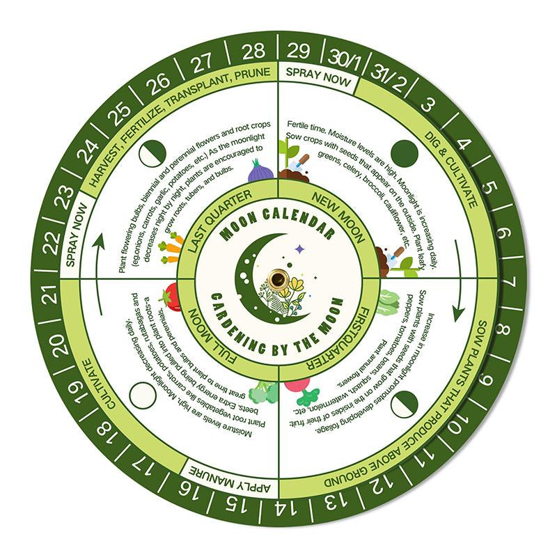 LUSH&DEW All-in-One Kitchen Garden Seed Bank - 32 Organic Garden Plant Seed Varieties with Vegetables, Herbs, Flowers, Fruits. Chef's Market