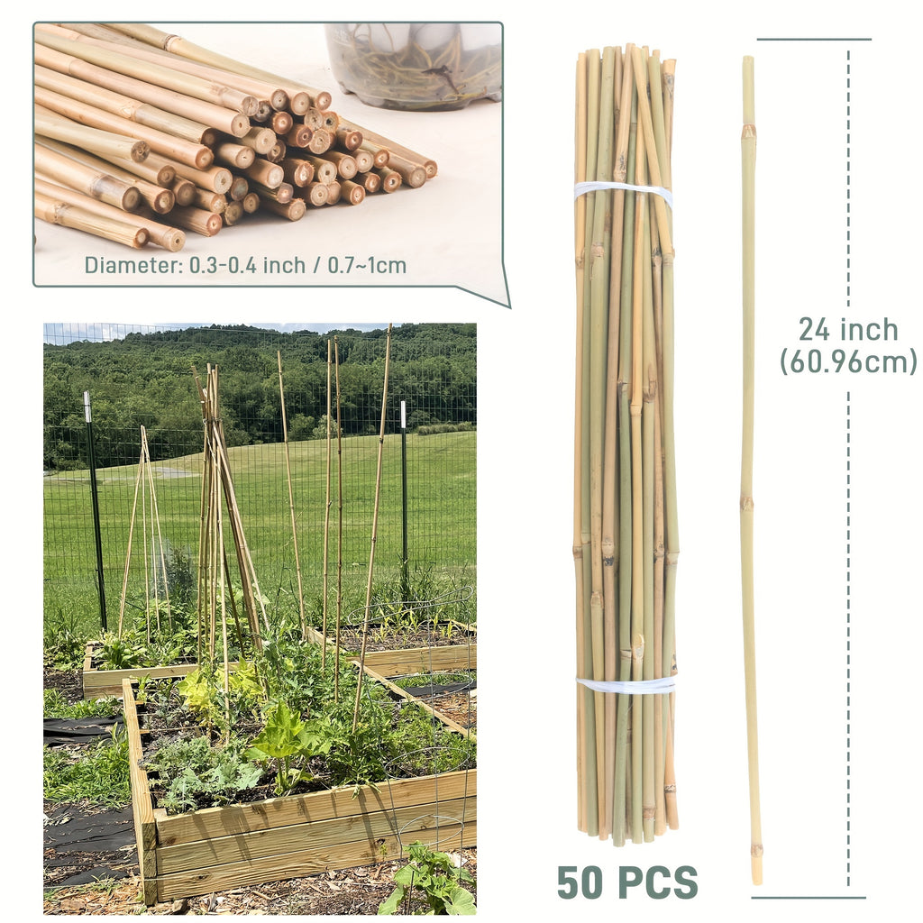 50 Pcs Natural Bamboo Plant Stakes - Sturdy Garden Support for Indoor & Outdoor Plants, Tomatoes, Vegetables, Beans, Climbing Plants - Durable 24 Inch Bamboo Stick for Healthy Plant Growth Chef's Market