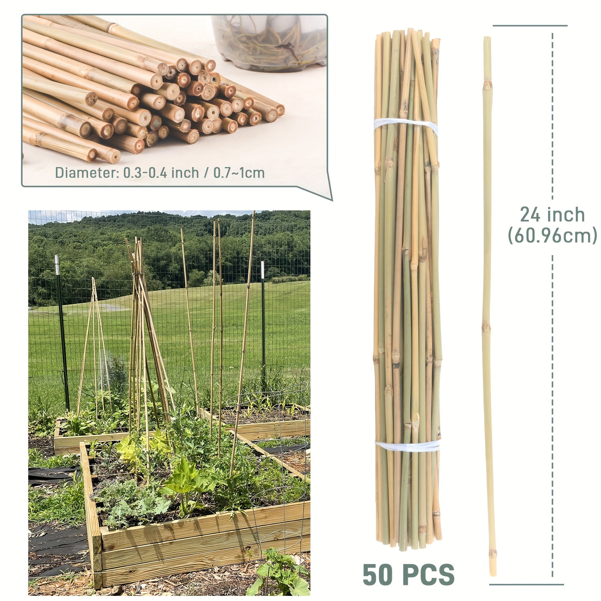 50 Pcs Natural Bamboo Plant Stakes - Sturdy Garden Support for Indoor & Outdoor Plants, Tomatoes, Vegetables, Beans, Climbing Plants - Durable 24 Inch Bamboo Stick for Healthy Plant Growth Chef's Market