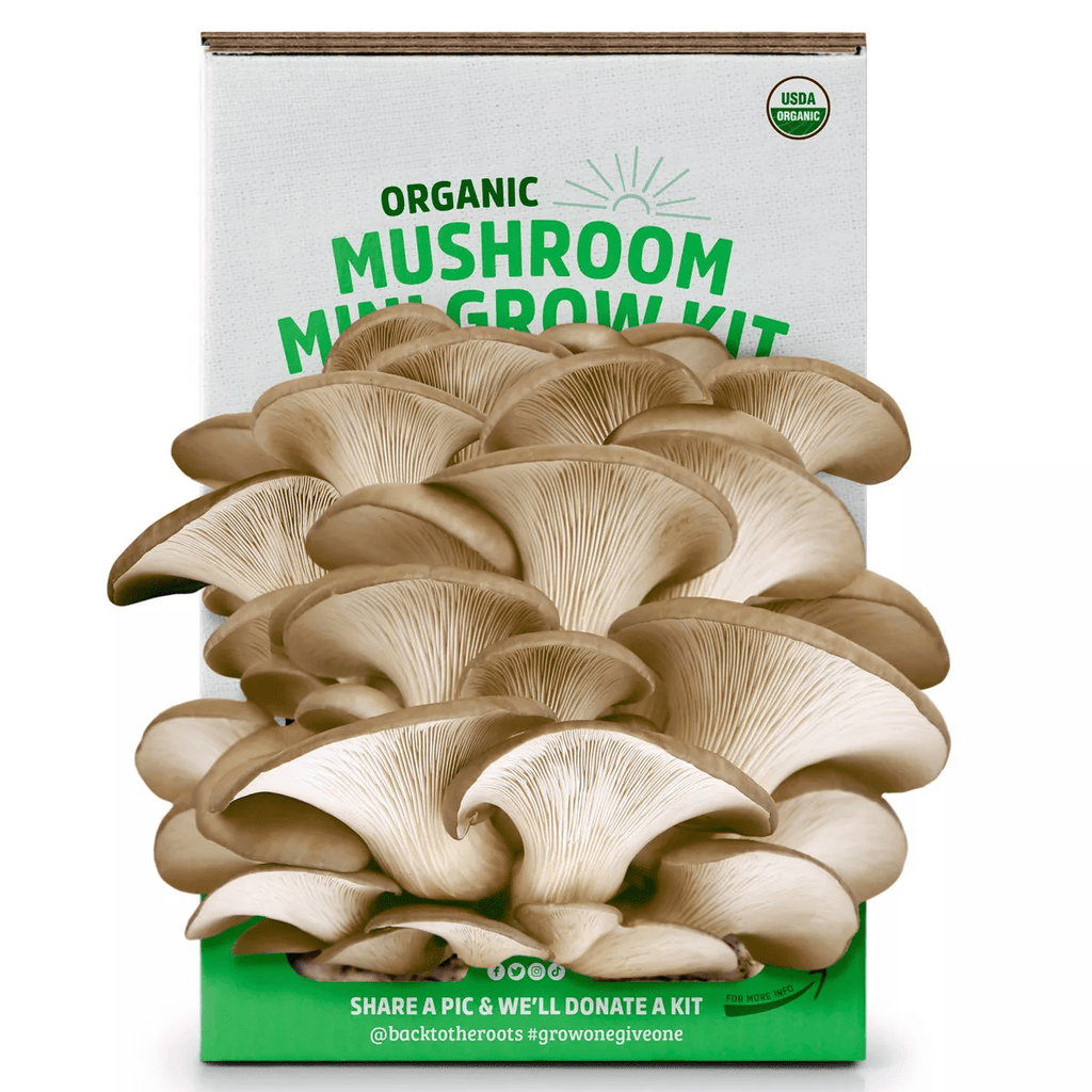 Organic Mushroom Mini Grow Kit Pearl Oyster Chef's Market