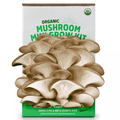 Organic Mushroom Mini Grow Kit Pearl Oyster Chef's Market