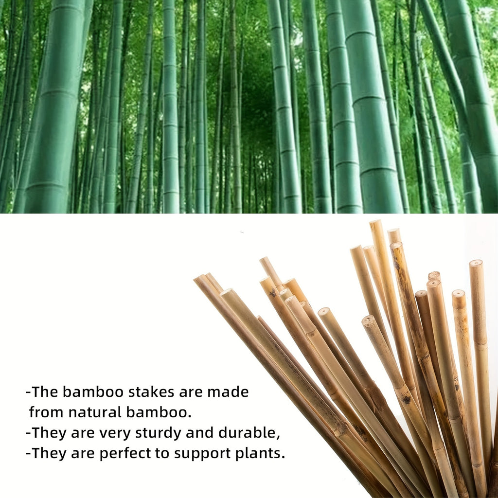 50 Pcs Natural Bamboo Plant Stakes - Sturdy Garden Support for Indoor & Outdoor Plants, Tomatoes, Vegetables, Beans, Climbing Plants - Durable 24 Inch Bamboo Stick for Healthy Plant Growth Chef's Market