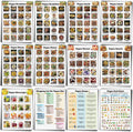 12 Pcs Vegan Food List Poster Vegan Diet Meal Plan High Protein Veggie Food Char