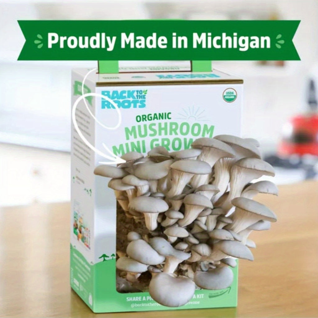 Back to the Roots Organic Mushroom Mini Grow Kit Pearl Oyster Chef's Market