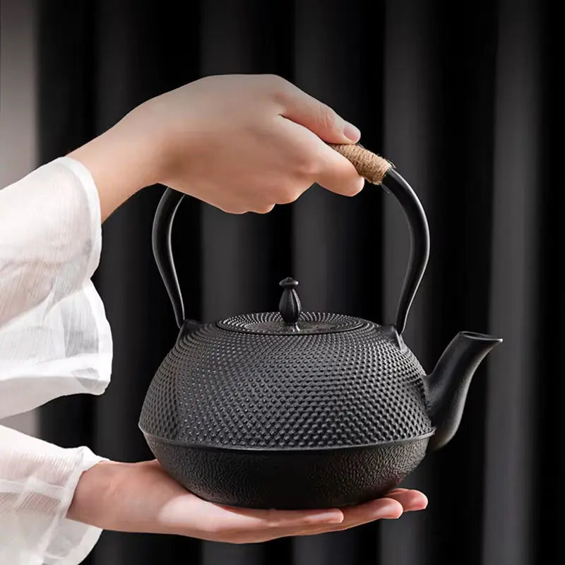 Cast Iron Tea Kettle Overstove Tea Kettle Filter Tea Kettle Chinese Kung Fu Open Fire Boiling Water Teapot Tea Set