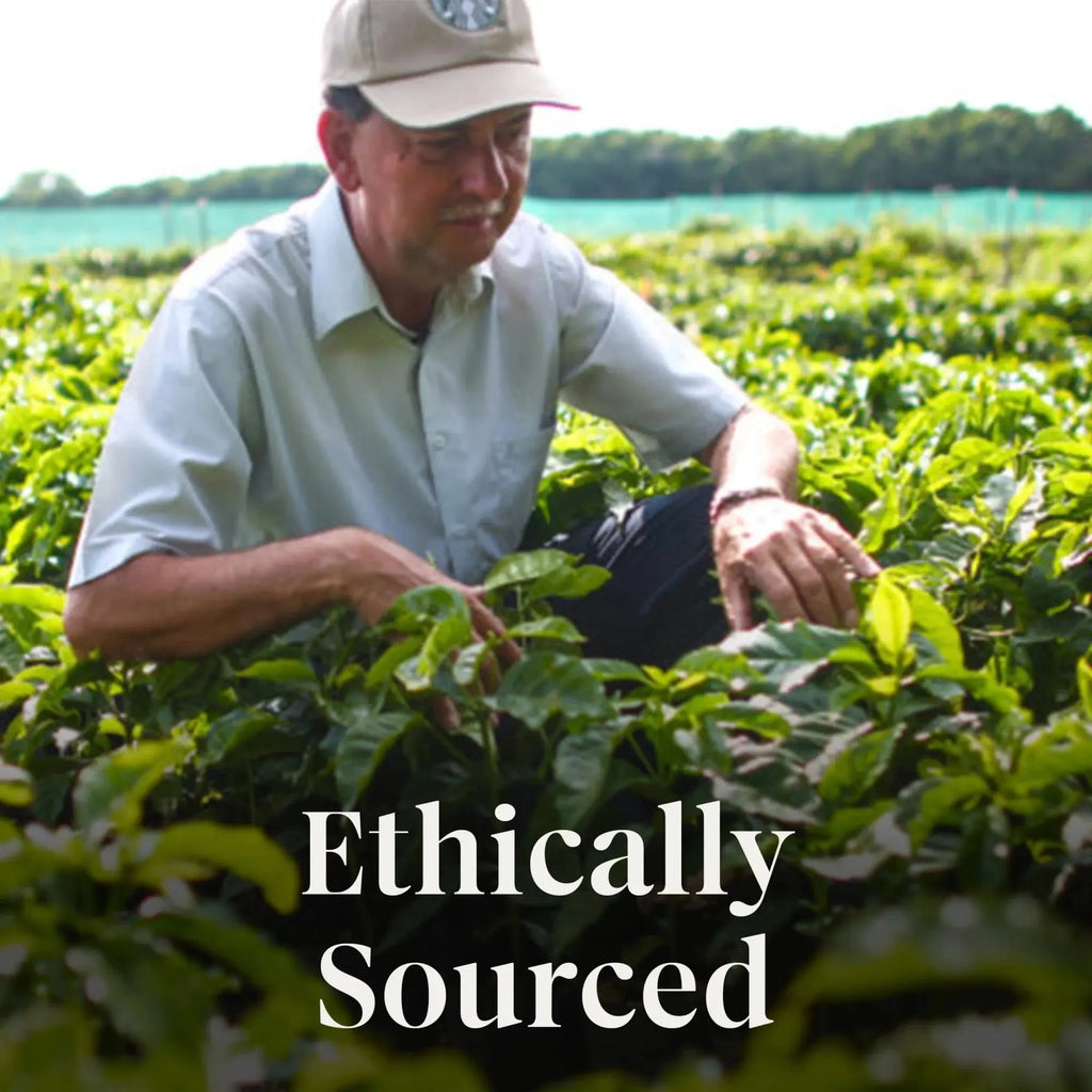 Starbucks Sunera Blend, Light Roast Coffee, Keurig K-Cup Single Serve Coffee Pods, 22 Pods