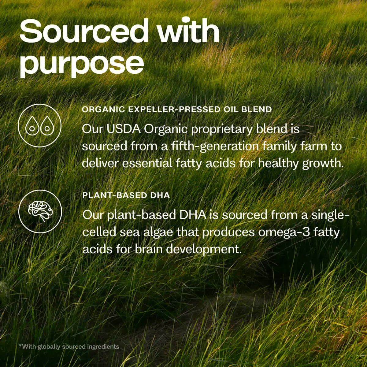 Organic Gentle® Infant Formula