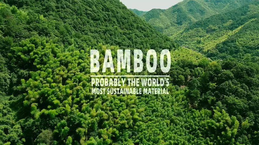 100 Pcs Biodegradable Eco-Friendly Natural Bamboo Charcoal Toothbrushes Soft Bristle Travel Wooden Manual Toothbrush Laser LOGO Chef's Market