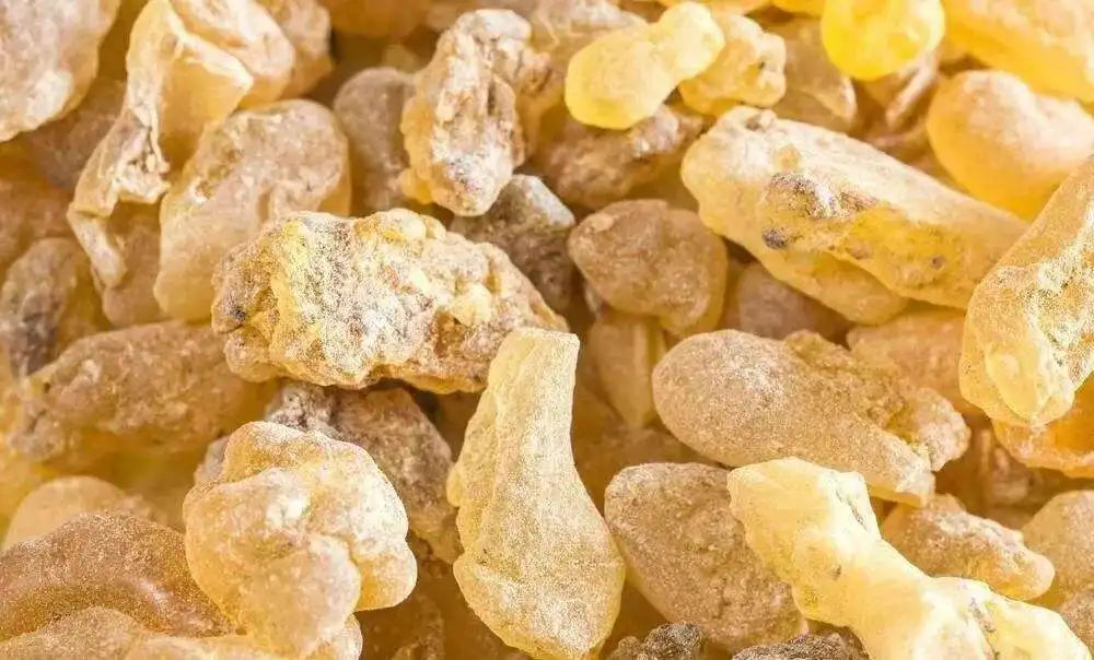 organic boswellia serrata Frankincense Resin Organic Somalia Incense Brock oliban Hydrosol Clean Frank Incense Chef's Market