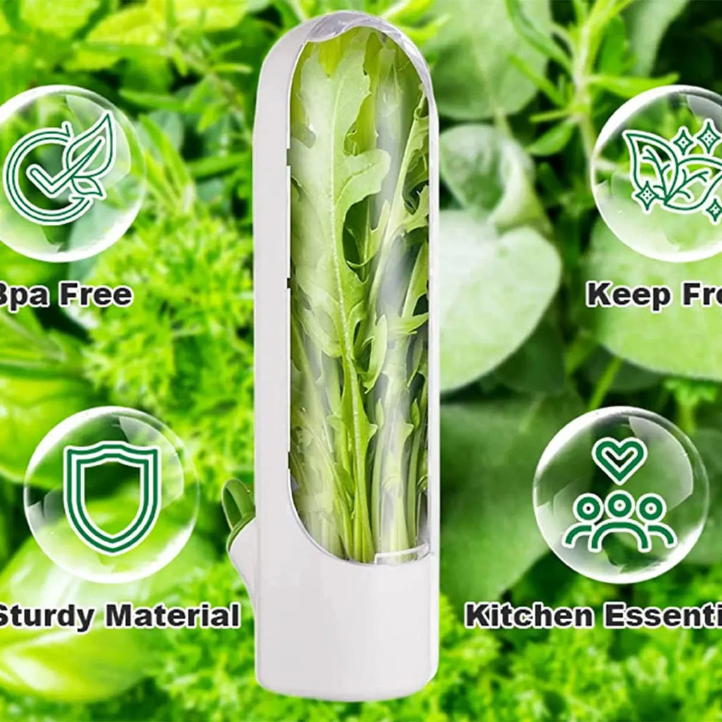 Herb Saver Storage Container Fresh Herb Keeper Vanilla Vegetables Fresh Preservation Bottle for Refrigerator Kitchen Gadgets colegio culinario de morelia