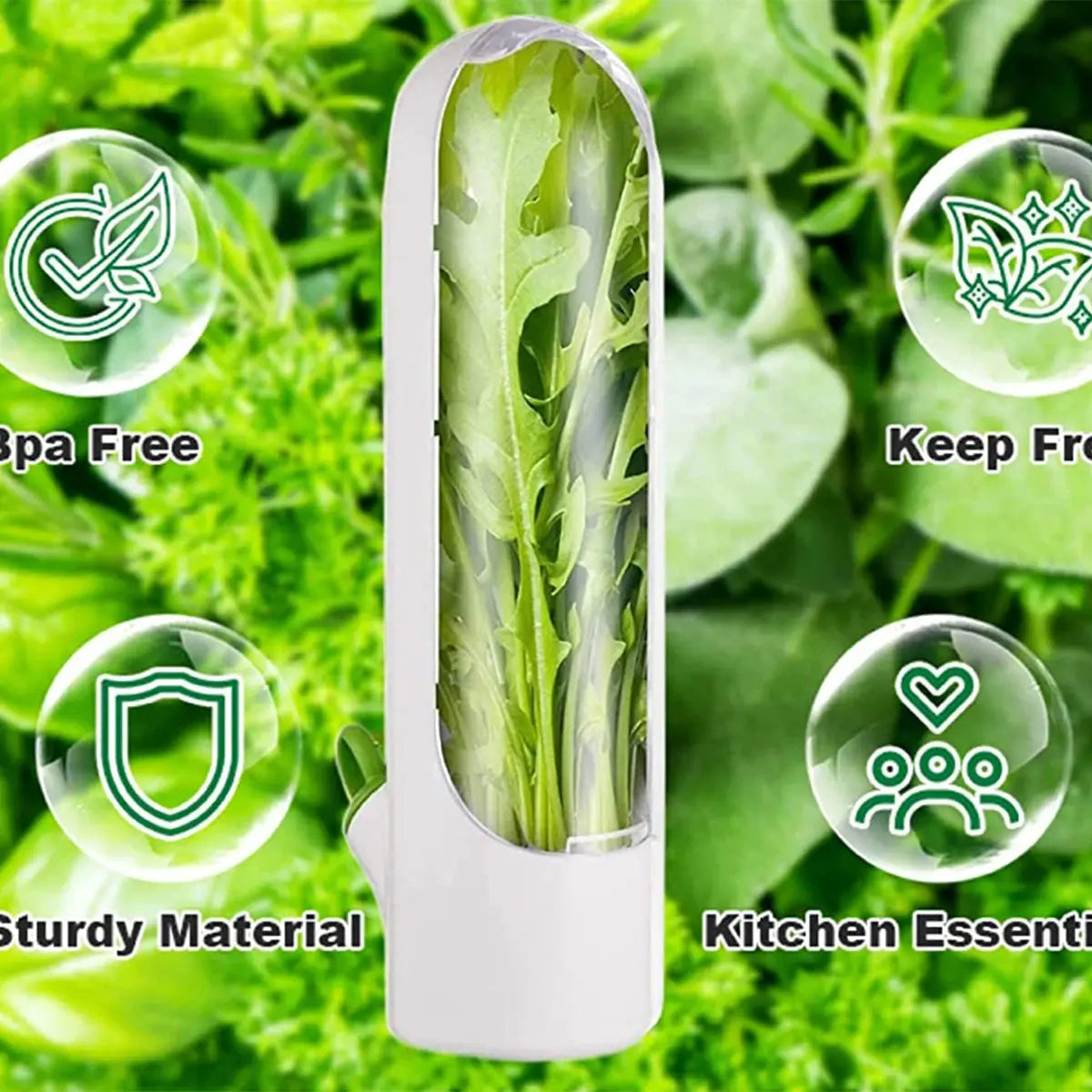 Herb Saver Storage Container Fresh Herb Keeper Vanilla Vegetables Fresh Preservation Bottle for Refrigerator Kitchen Gadgets colegio culinario de morelia