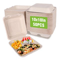 50Pack Compostable Take Out Container 10X10, Disposable to Go Food Boxes with 3 Compartments, Biodegradable Clamshell Container