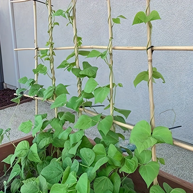 50 Pcs Natural Bamboo Plant Stakes - Sturdy Garden Support for Indoor & Outdoor Plants, Tomatoes, Vegetables, Beans, Climbing Plants - Durable 24 Inch Bamboo Stick for Healthy Plant Growth Chef's Market