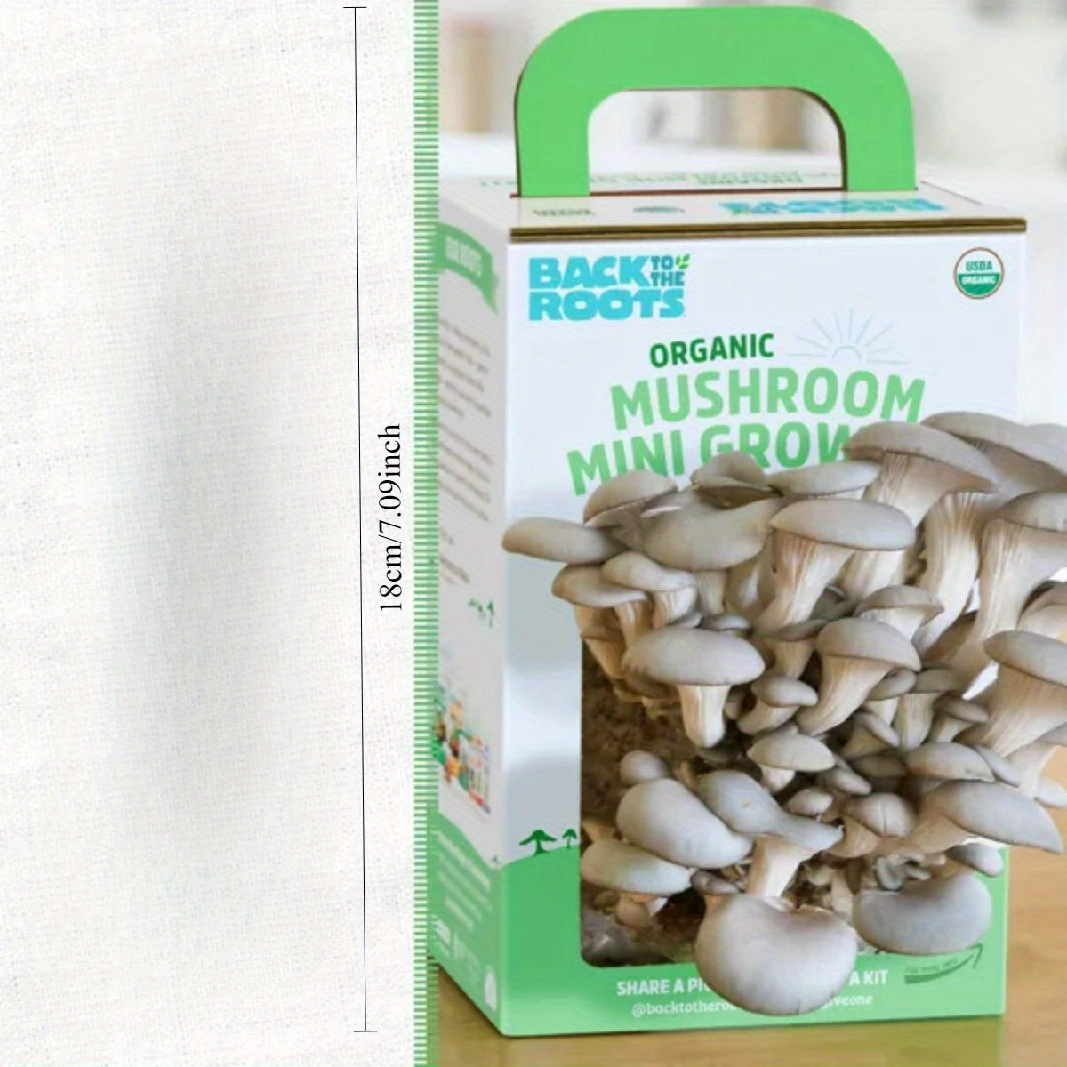 Back to the Roots Organic Mushroom Mini Grow Kit Pearl Oyster Chef's Market