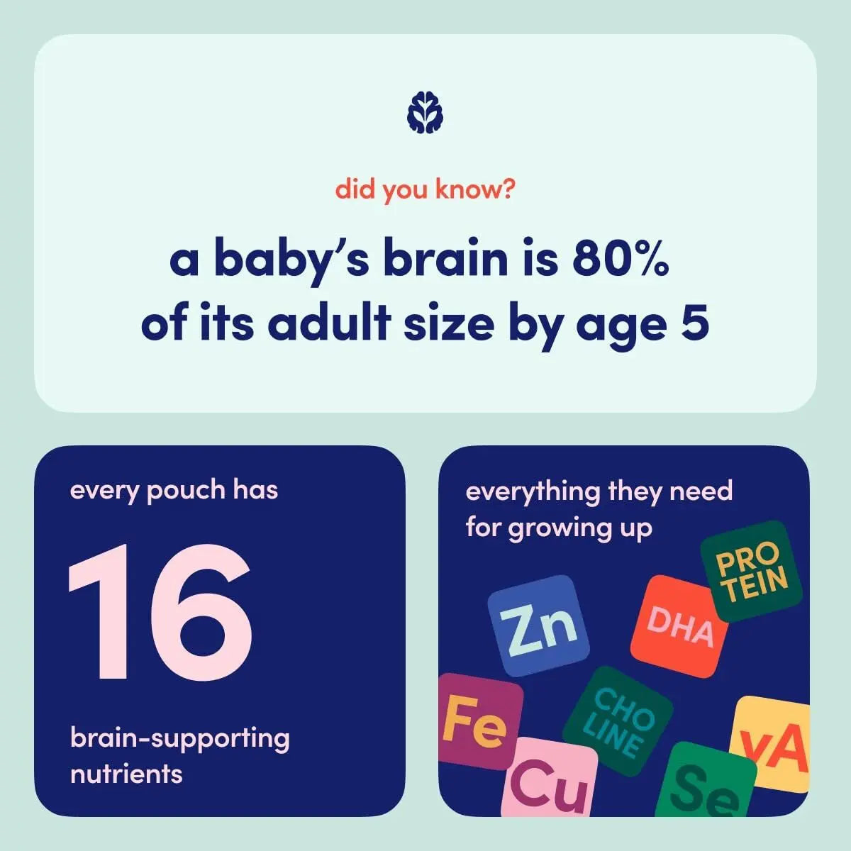 Organic Baby Food Pouches Sweet Potato Mango Pack of 6 Brain Supporting Snacks