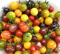 Heirloom Cherry Tomato Seed Mix | Heirloom | Organic