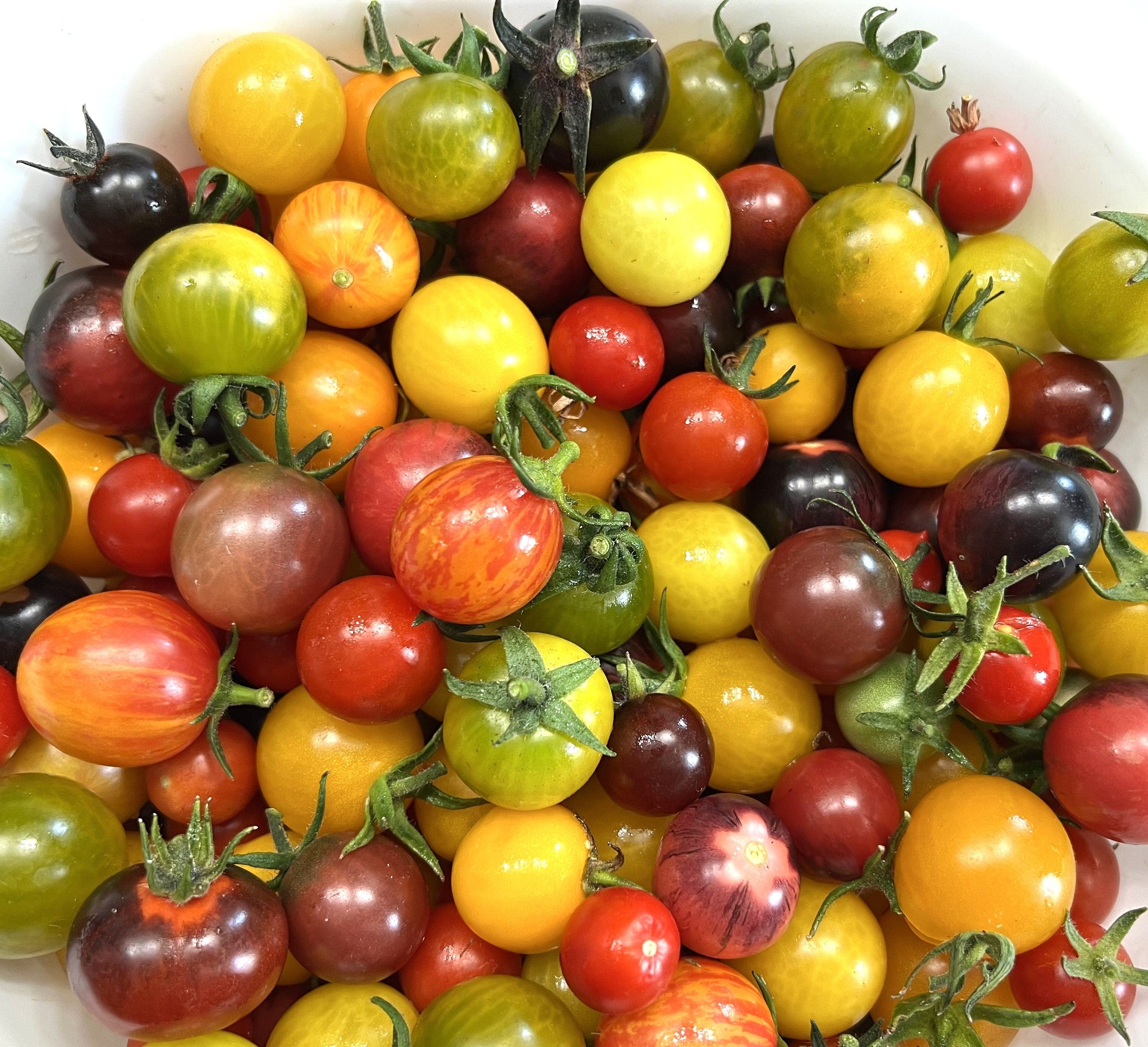 Heirloom Cherry Tomato Seed Mix | Heirloom | Organic